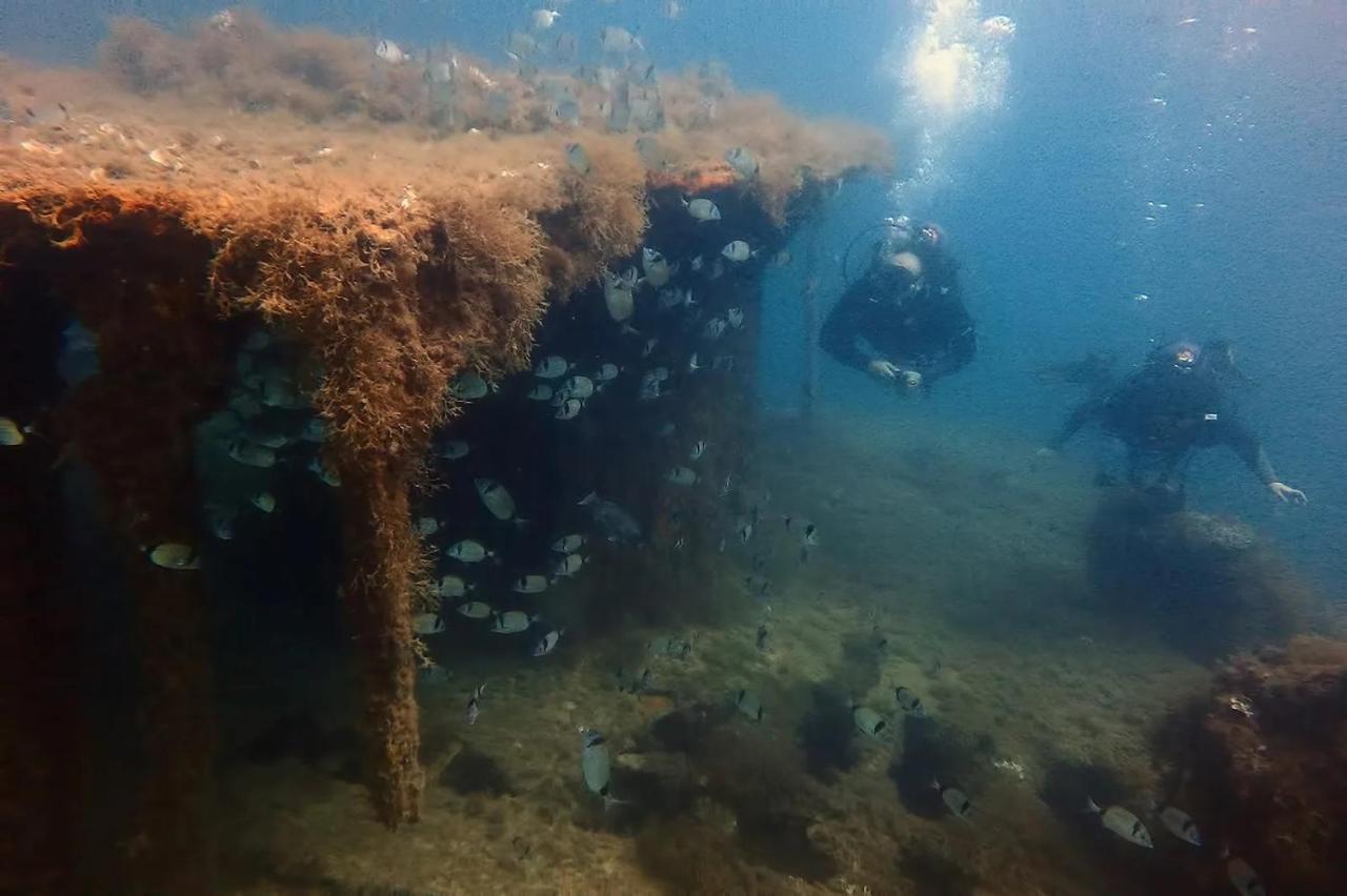 Brant Lodging Sliema Dış mekan fotoğraf